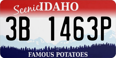 ID license plate 3B1463P