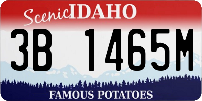 ID license plate 3B1465M
