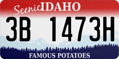 ID license plate 3B1473H