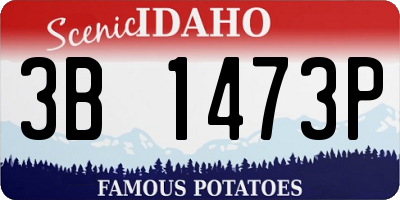 ID license plate 3B1473P