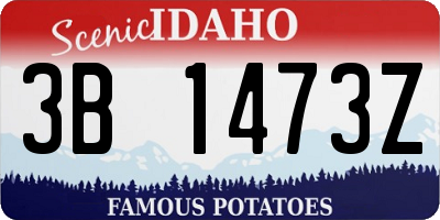 ID license plate 3B1473Z