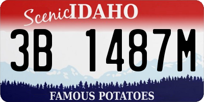 ID license plate 3B1487M