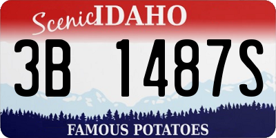 ID license plate 3B1487S