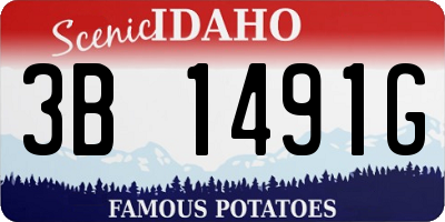 ID license plate 3B1491G