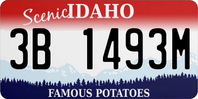 ID license plate 3B1493M