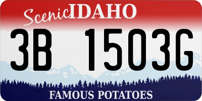 ID license plate 3B1503G