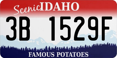 ID license plate 3B1529F