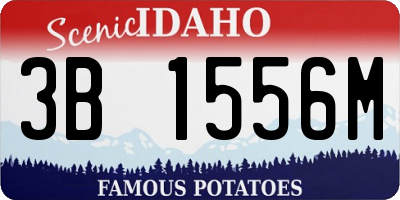 ID license plate 3B1556M