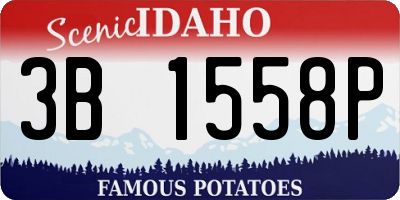 ID license plate 3B1558P
