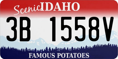 ID license plate 3B1558V