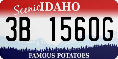 ID license plate 3B1560G