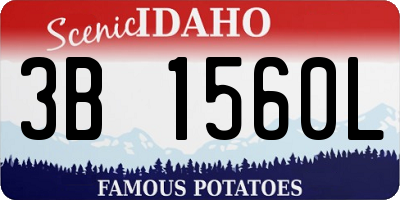 ID license plate 3B1560L