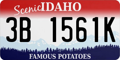 ID license plate 3B1561K
