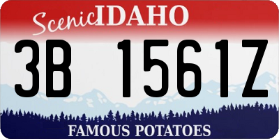 ID license plate 3B1561Z