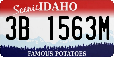 ID license plate 3B1563M