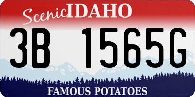 ID license plate 3B1565G