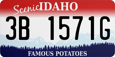 ID license plate 3B1571G
