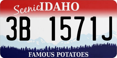 ID license plate 3B1571J