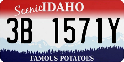 ID license plate 3B1571Y