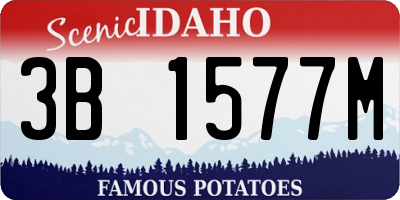 ID license plate 3B1577M