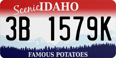 ID license plate 3B1579K