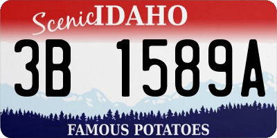 ID license plate 3B1589A