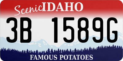 ID license plate 3B1589G