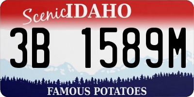 ID license plate 3B1589M