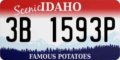 ID license plate 3B1593P