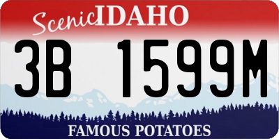 ID license plate 3B1599M