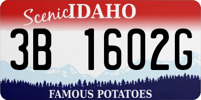ID license plate 3B1602G