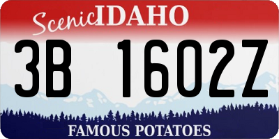 ID license plate 3B1602Z