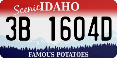 ID license plate 3B1604D