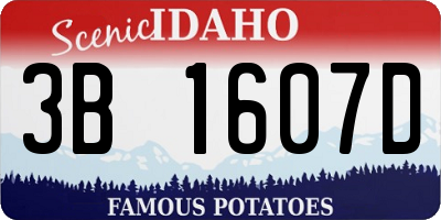 ID license plate 3B1607D