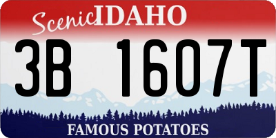 ID license plate 3B1607T