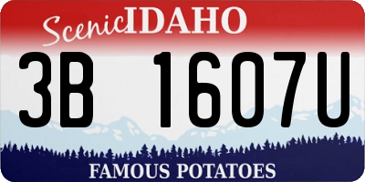 ID license plate 3B1607U