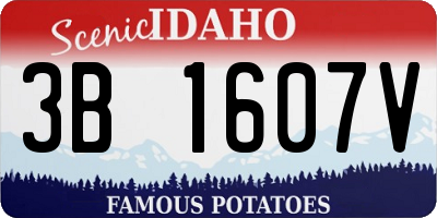 ID license plate 3B1607V