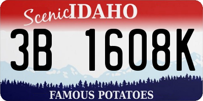 ID license plate 3B1608K