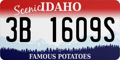 ID license plate 3B1609S