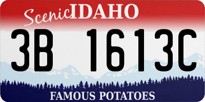 ID license plate 3B1613C