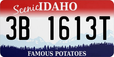 ID license plate 3B1613T