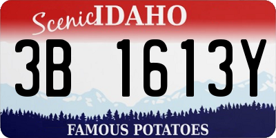 ID license plate 3B1613Y