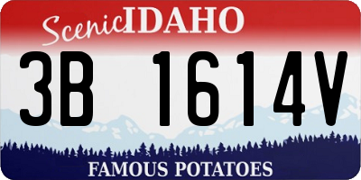 ID license plate 3B1614V