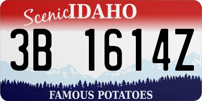 ID license plate 3B1614Z