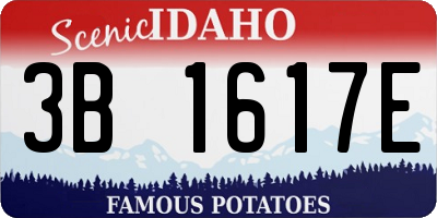 ID license plate 3B1617E