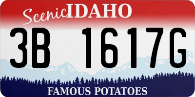 ID license plate 3B1617G
