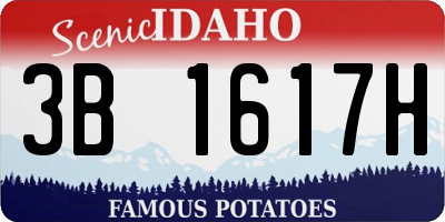 ID license plate 3B1617H