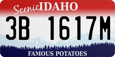 ID license plate 3B1617M