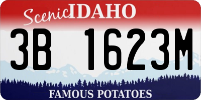 ID license plate 3B1623M