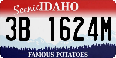 ID license plate 3B1624M